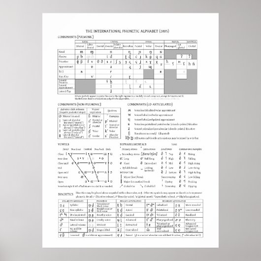 IPA-grafiek Poster (Voorkant)