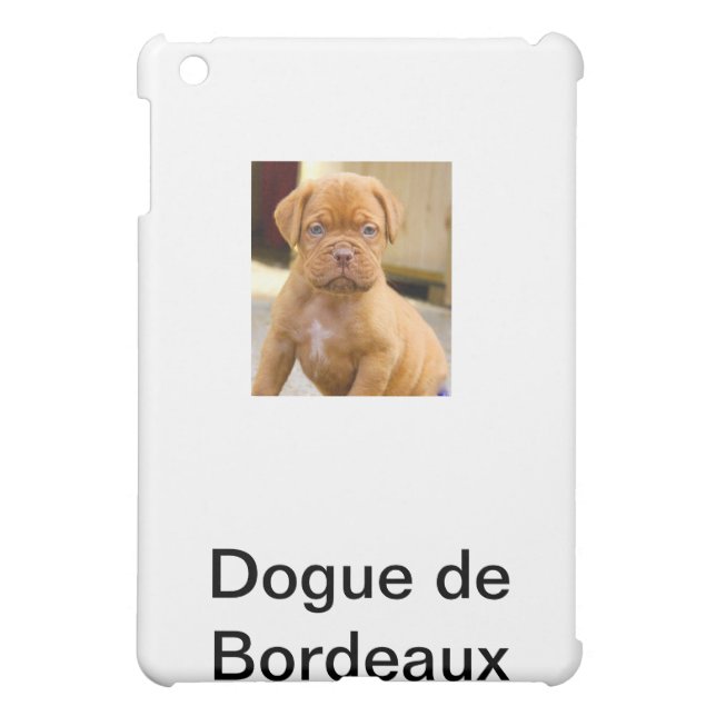 IPAD CASE** HOESJE VOOR iPad MINI (Achterkant)