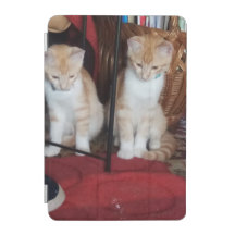 IPad Cases Hoesjes