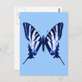 Iphiclides podalirius-Briefkaart Briefkaart (Voorkant / Achterkant)