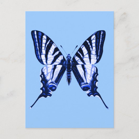 Iphiclides podalirius-Briefkaart Briefkaart (Voorkant)