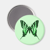 Iphiclides podalirius Magnet (Recto/Verso)