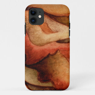 iphone4- Sonoran Desert Sunset iPhone 11 Hoesje