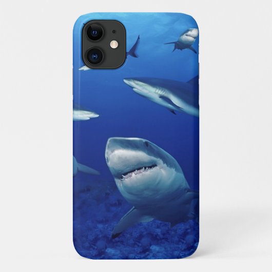 iPhone 11 Hoesje-haaien  Case-Mate iPhone Case (Achterkant)