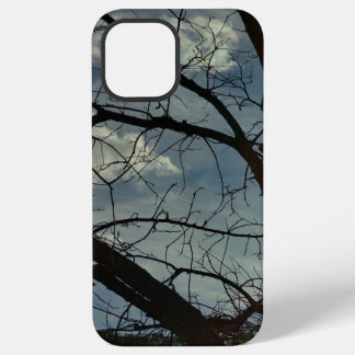 iphone 12 pro max Hoesje