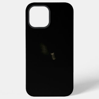 iPhone 12 pro max Hoesje