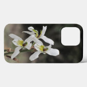 iPhone 13 Coque blanc orchidée (Verso (horizontal))