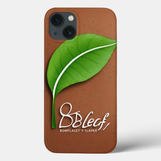 iPhone 13 Hoesjes (Achterkant)