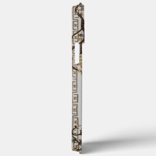 iPhone 13 pro Hoesjes (Achterkant / Rechts)