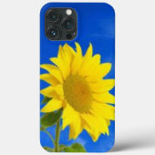 iPhone 13 pro max hoesje (Achterkant)