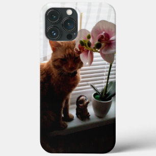 IPhone 13 Pro Max Hoesjes voor kattenliefhebbers