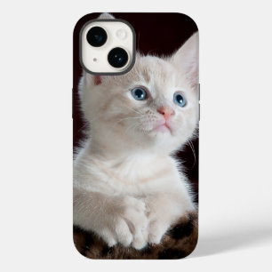 iphone 14 hoesjes kattenliefde