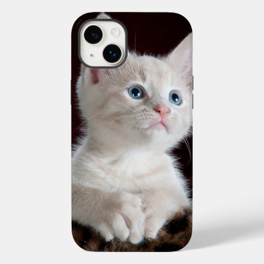 iphone 14 hoesjes plus kattenliefde (Achterkant)
