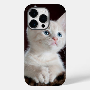 iphone 14 hoesjes pro kattenliefde