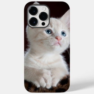 iphone 14 hoesjes pro max kattenliefde
