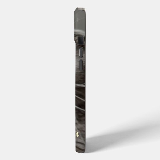 IPhone 15 plus coque avec chat drôle (Verso / Gauche)