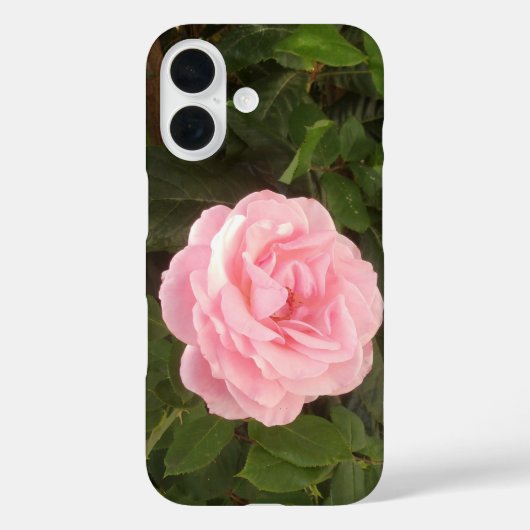 iPhone 16 case (Achterkant)