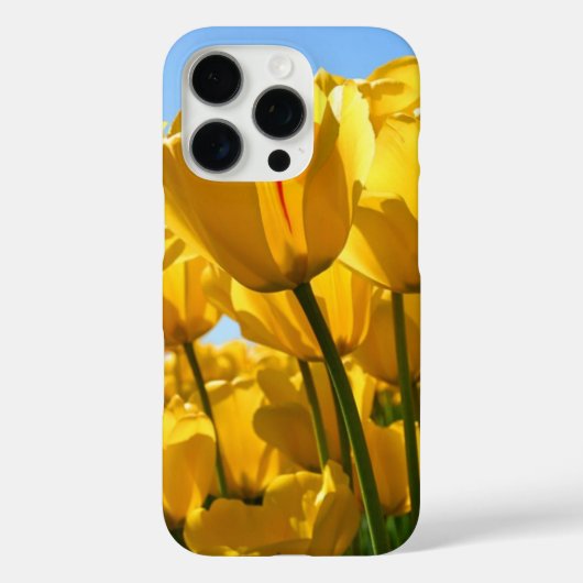 IPHONE 16 PRO Case-Mate iPhone CASE (Achterkant)