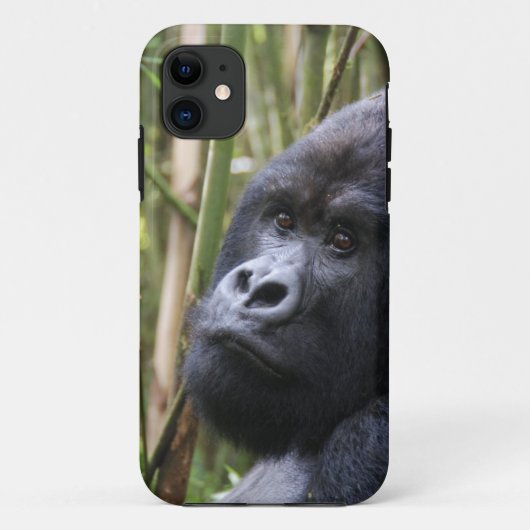 iphone 5 amper daar qpc - sjabloon ip - Gepersonal Case-Mate iPhone Case (Achterkant)