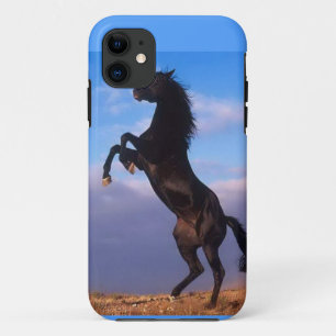 iPhone 5 Barely Er Hoesje paardenkracht