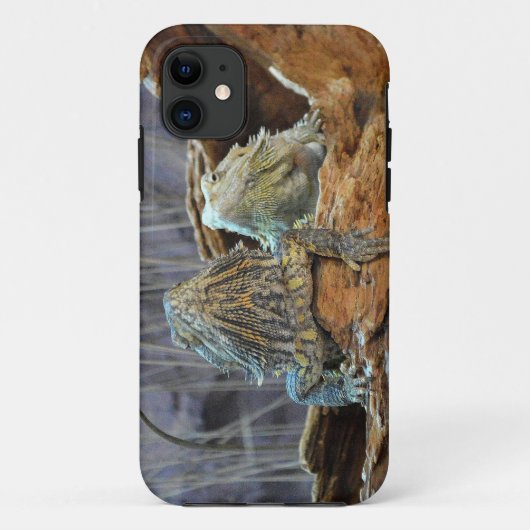 IPhone 5 Coque avec deux lézards curieux (Dos)