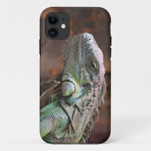 IPhone 5 Coque avec Iguana lizard
