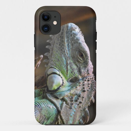 IPhone 5 Coque avec tête de lézard Iguana (Dos)