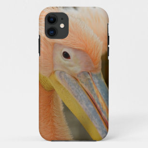 IPhone 5 Coque vous regarder Pélican
