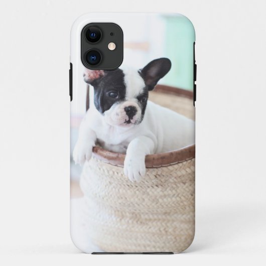 Iphone 5 hoesje Franse bulldog (Achterkant)
