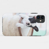 Iphone 5 hoesje Franse bulldog (Achterkant (horizontaal))