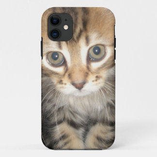 Iphone 5 Hoesje - Kitten