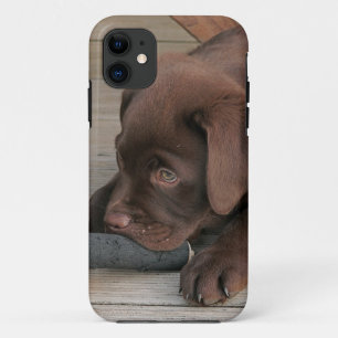 Iphone 5 hoesje met chocolade Labrador retriever