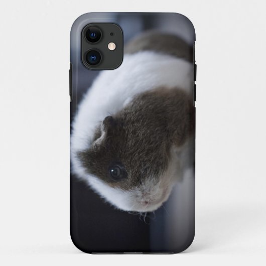 iPhone 5 hoesje met schattig cavia (Achterkant)
