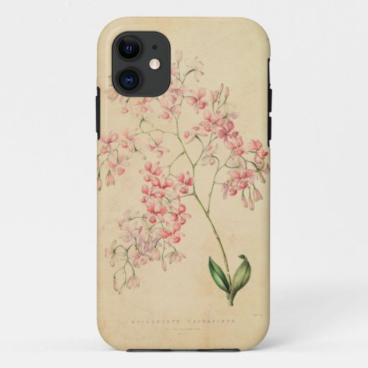 iPhone 5 Hoesje -  orchidee illustratie (Achterkant)