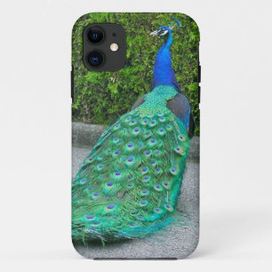 iPhone 5 Hoesje, "Proud Peacock" 11 Hoesje
