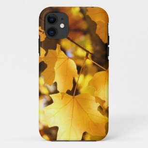 iPhone 5 hoesjes Gele Herfst Boom Bladeren Herfst