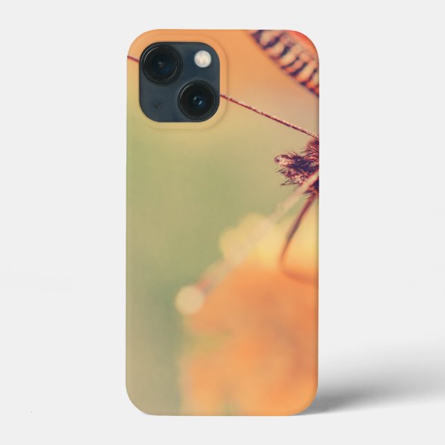 iPhone couleur olive 13 Mini Coque (Verso)