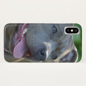 Iphone de chien de Pitbull x coque (Dos (Horizontal))