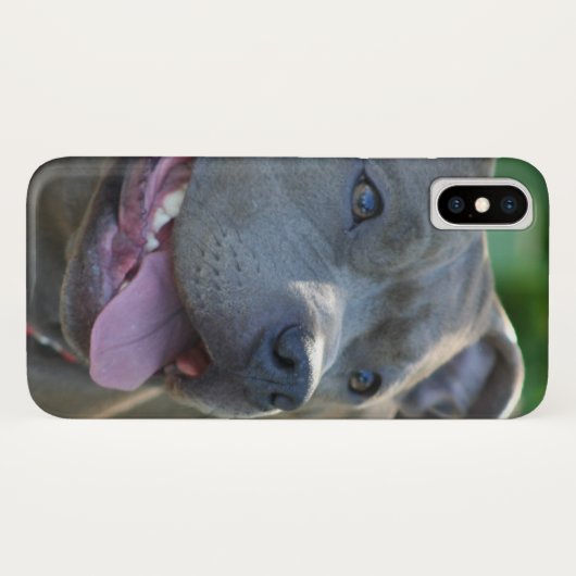 Iphone de chien de Pitbull x coque (Dos (Horizontal))