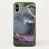 Iphone de chien de Pitbull x coque (Dos)