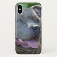 Iphone de chien de Pitbull x coque
