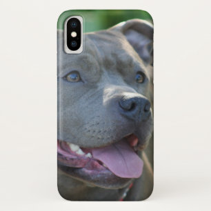 Iphone de chien de Pitbull x coque