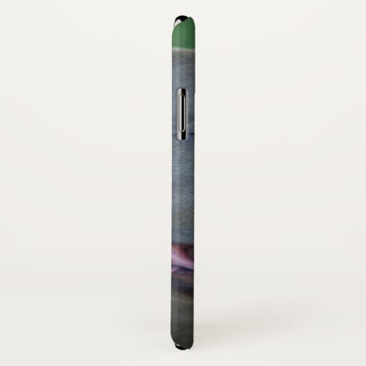 Iphone de chien de Pitbull x coque (Dos/Droite)