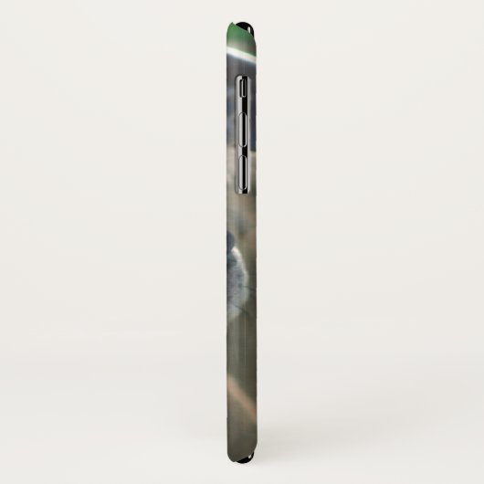 Iphone de chien de Pitbull x coque (Dos/Gauche)