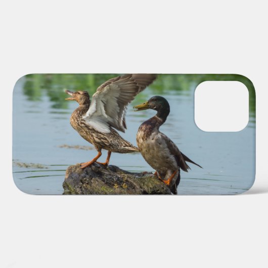 iPhone Hoesje Excuse Me (Achterkant (horizontaal))