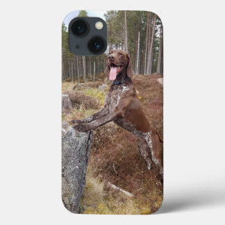 iPhone-hoesje voor Duitse Kurzschnauzige Pointer iPhone 13 Hoesje