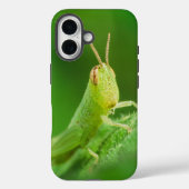 iPhone / iPad case (Achterkant)