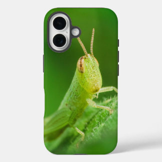 iPhone / iPad-hoes 16 Hoesje