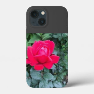 iPhone / iPad hoesje