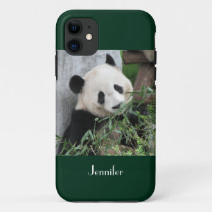 iPhone SE/5/5s Hoesje Giant Panda Green Background